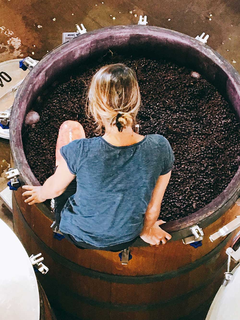 Besuche biologische und biodynamische Weingüter