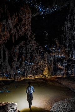 Spot glow-worms and wildlife in the Blue Mountains