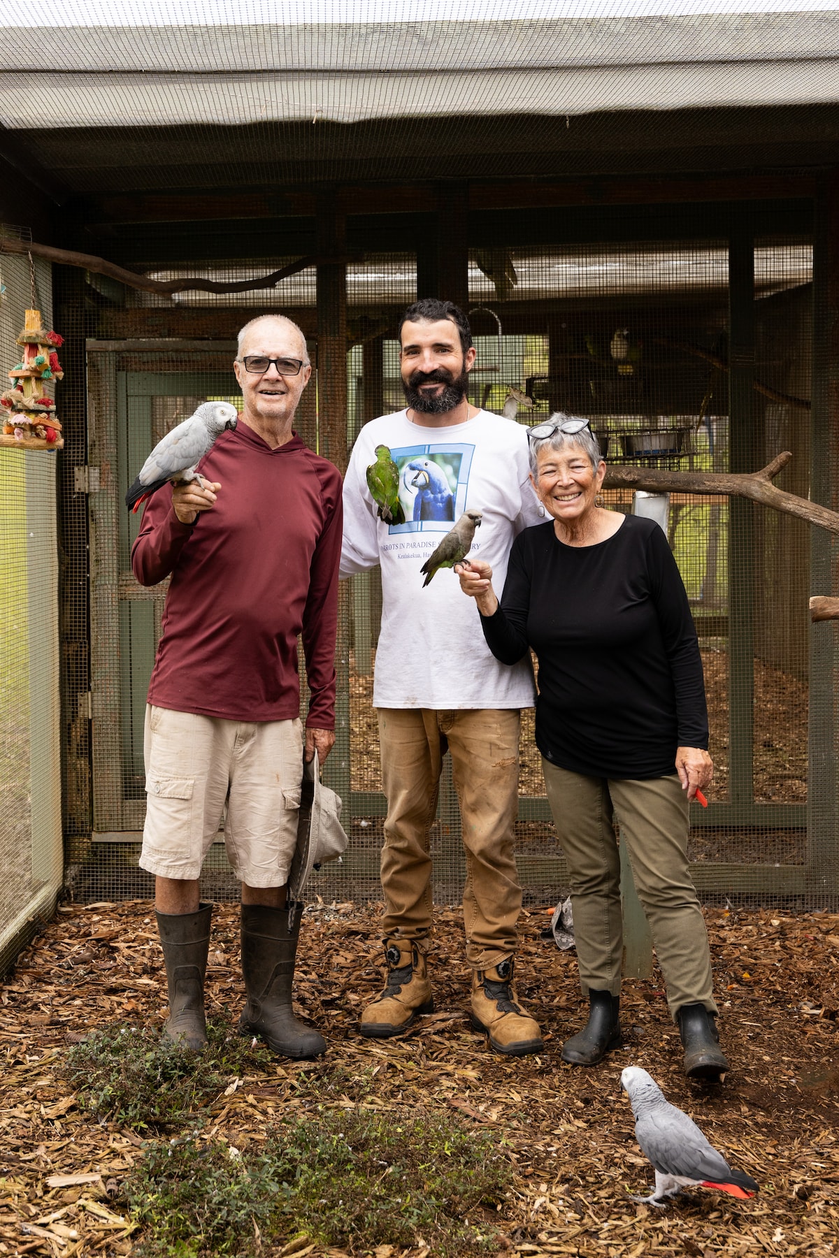Parrots in Paradise Sanctuary