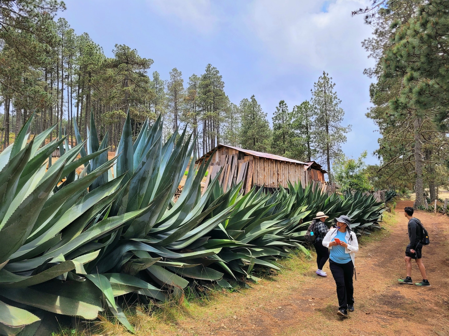 Sierra Norte Hike & Indigenous Village Experience · ☆4.98