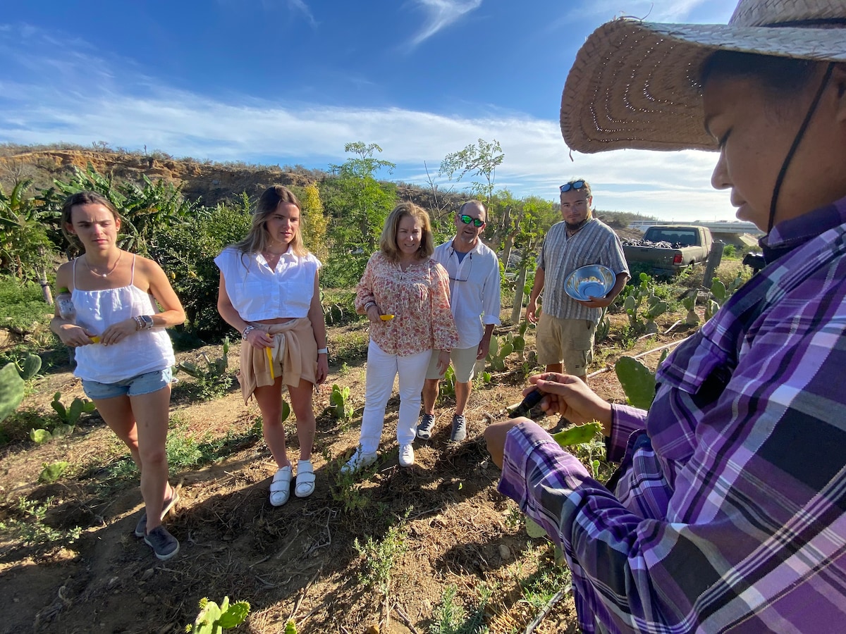 Azteca Taco Cooking Class