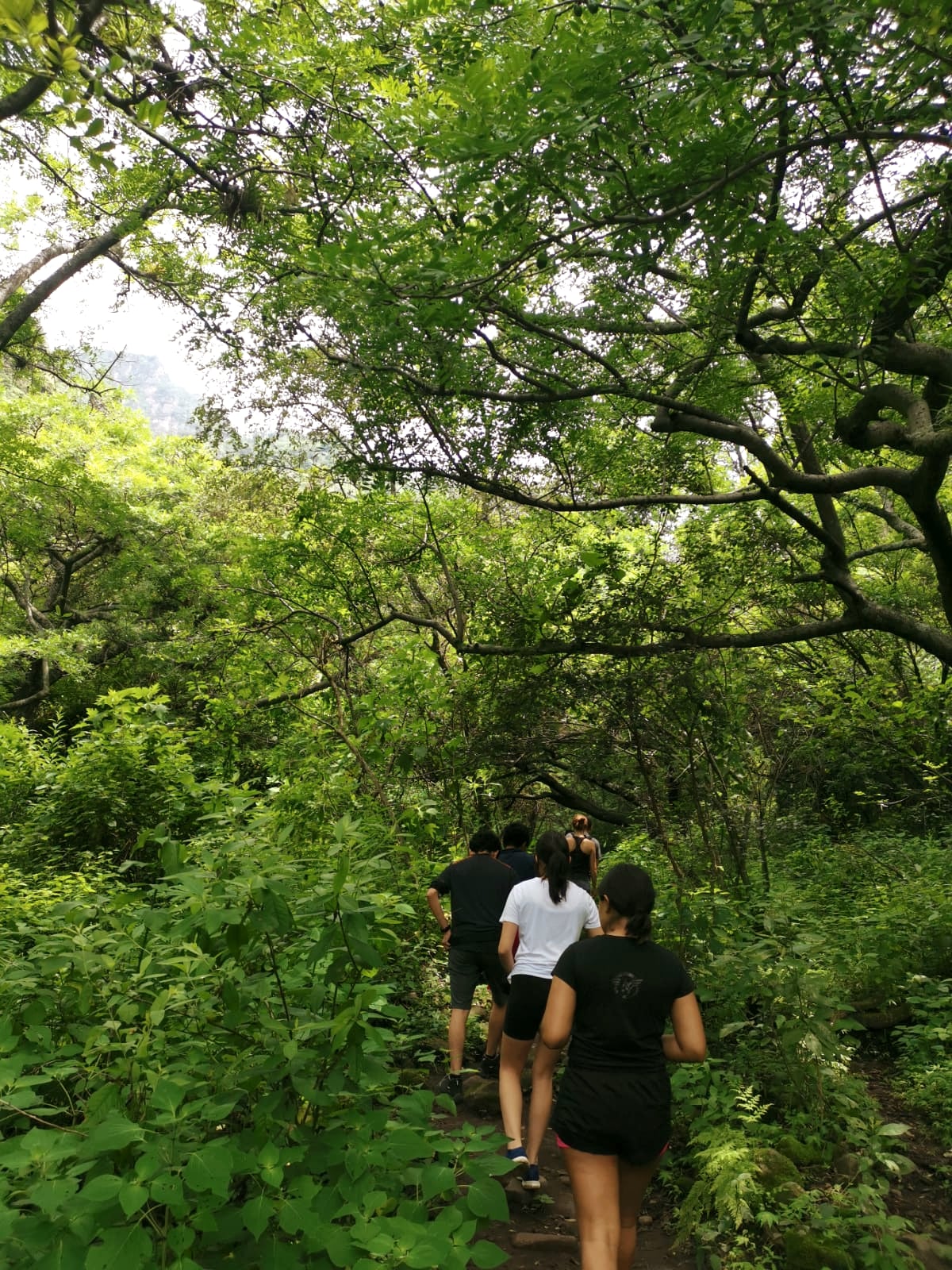 Breakfast and guided walk in Tepoztlán