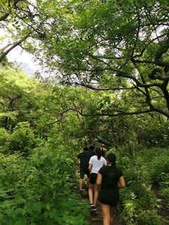 Desayuno y paseo guiado por Tepoztlán