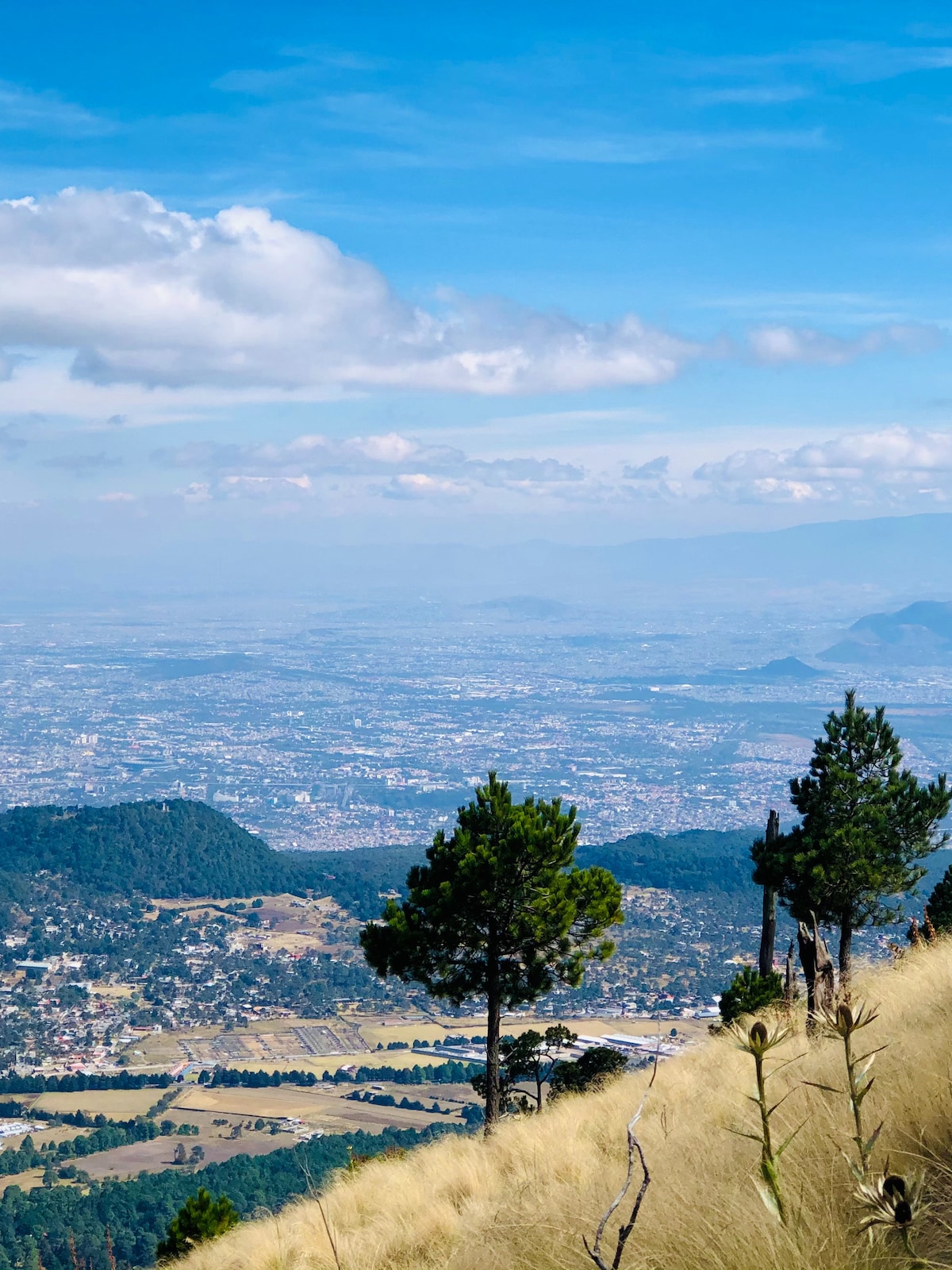 Climb to the top of Ajusco with a mountaineer