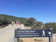 Tour de medio día por el Cabo de Buena Esperanza y los pingüinos africanos