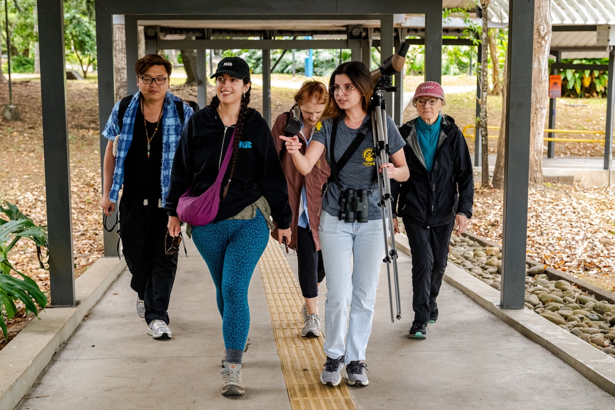 Sloths, birds and trees: City walking nature tour