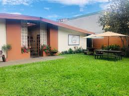 Sloths, birds and trees: City walking nature tour