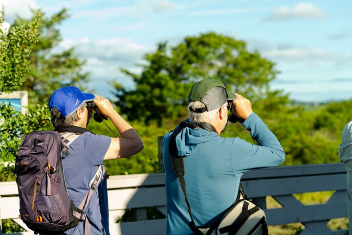 Birdwatch at Plum Island and Parker River refuge · ☆4.96