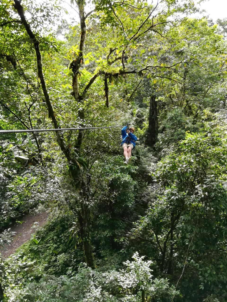 Enjoy seven ziplines and a rappel