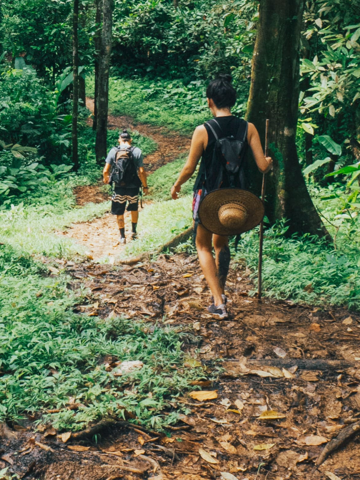 Hike to a giant waterfall