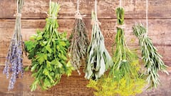 Make Your Own Herbal Salve in a Sedona Apothecary