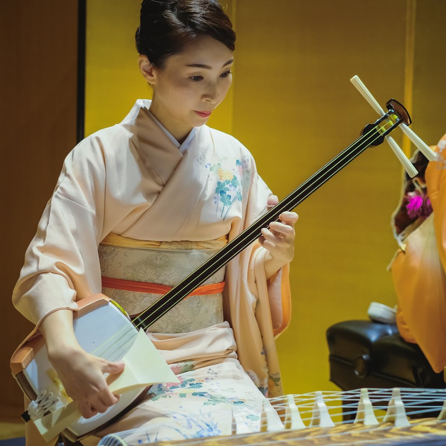 Explore traditional Japanese music and instruments · ☆4.98