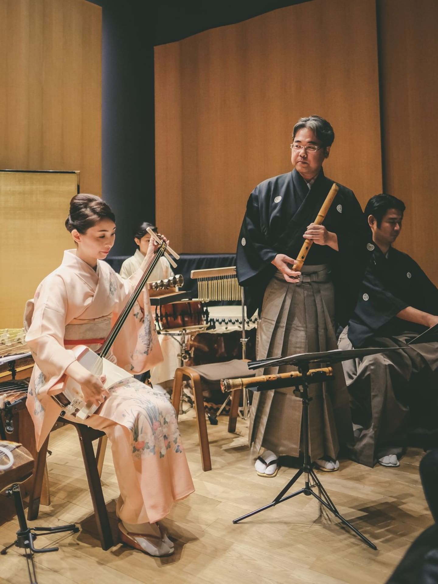 Explore traditional Japanese music and instruments · ☆4.98