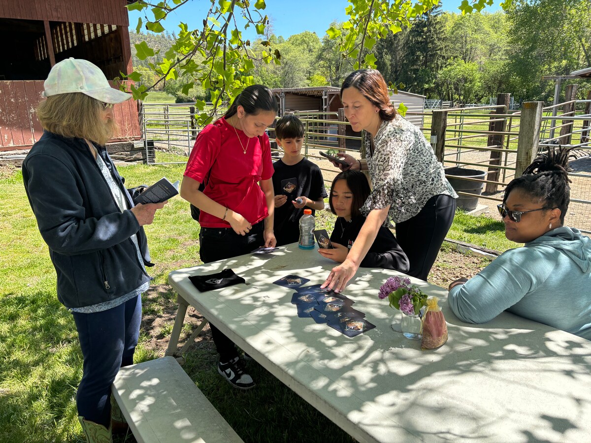 Connect with horses in sacred space