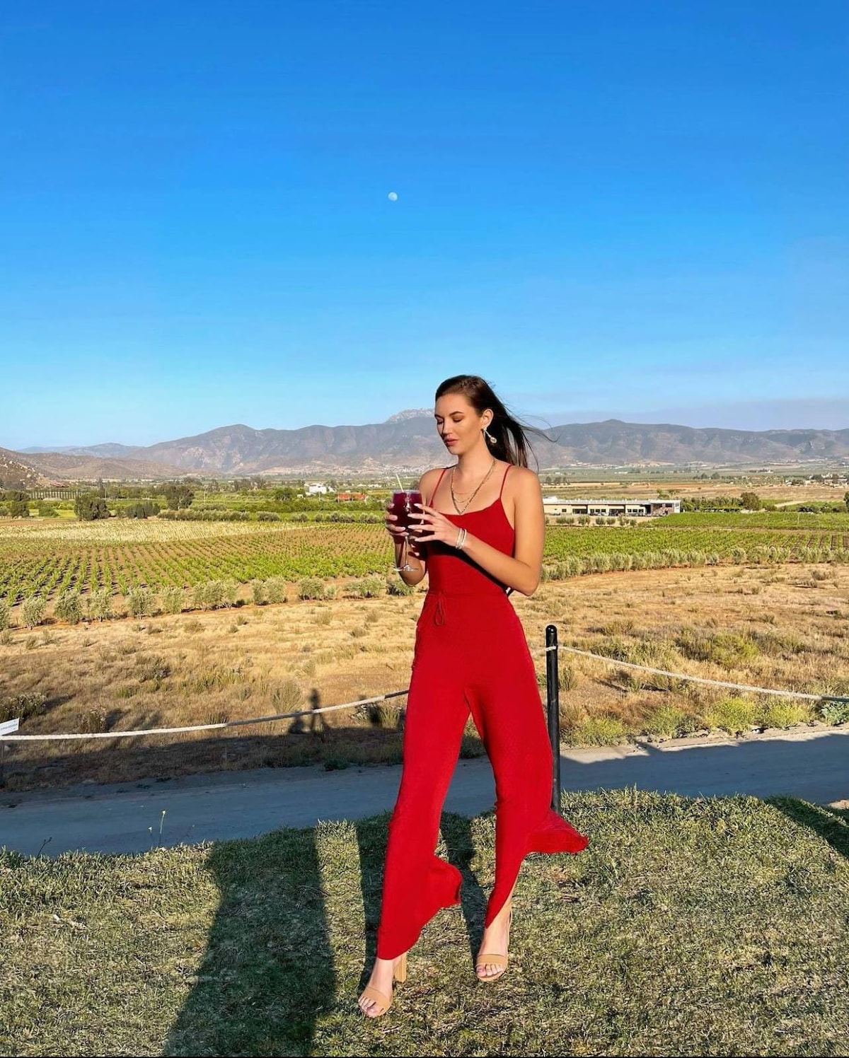 Verkoste Weine im Valle de Guadalupe