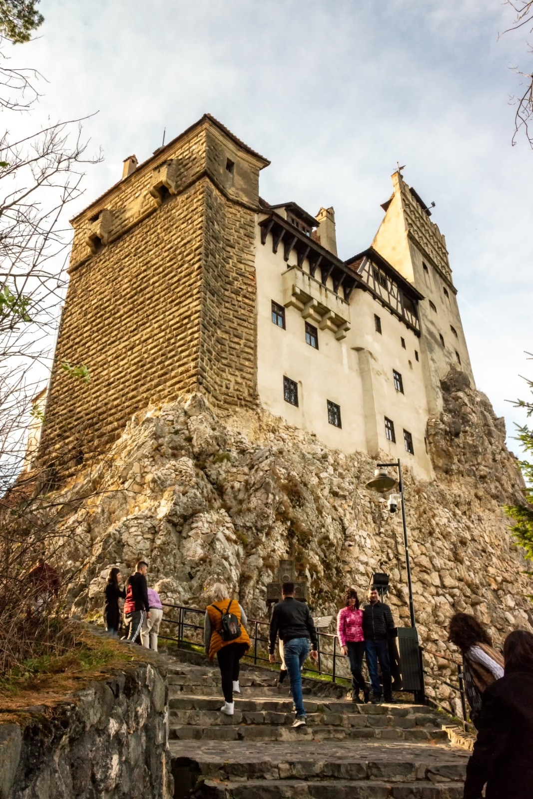 Encounter Dracula’s legend and majestic bears