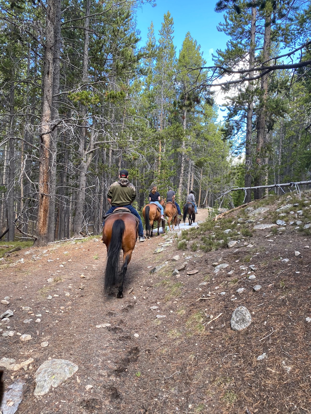 比格霍恩山脉徒步之旅