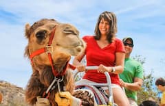 Aventura en camello en Agadir