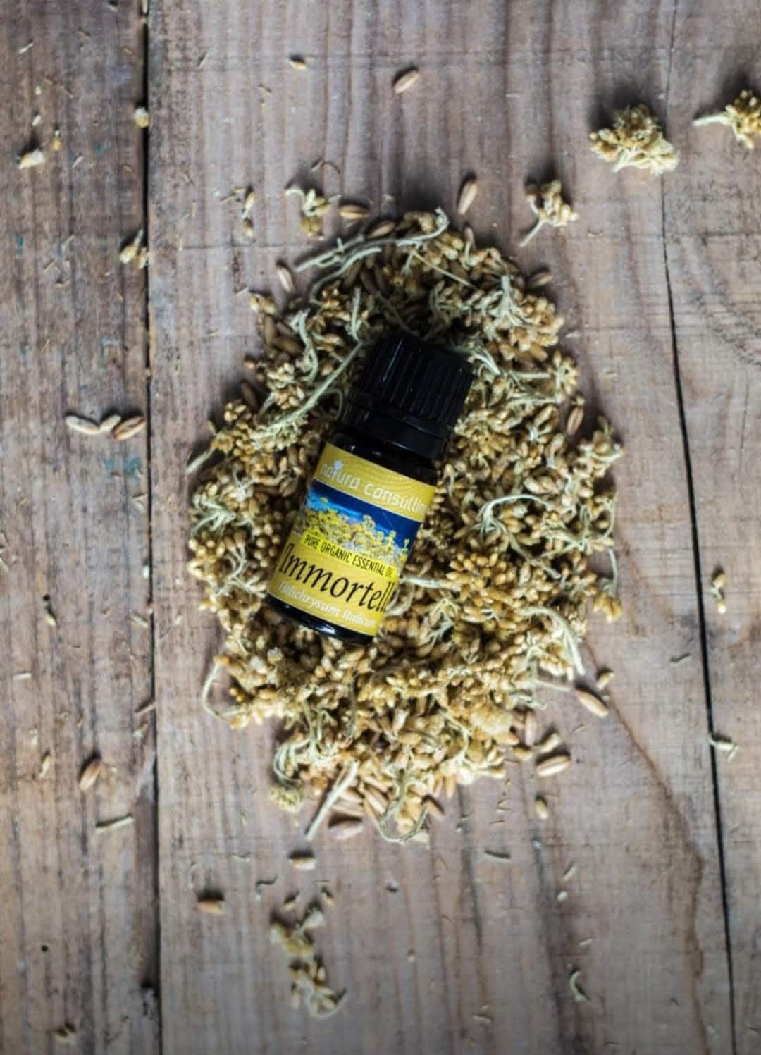 穿越 Immortelle 农场之旅