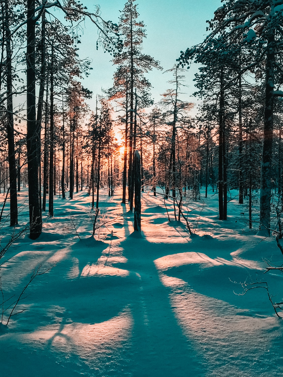 Snowshoeing in Pyhä-Luosto