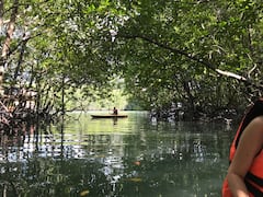 พายเรือคายัคเข้าป่าชายธรรม