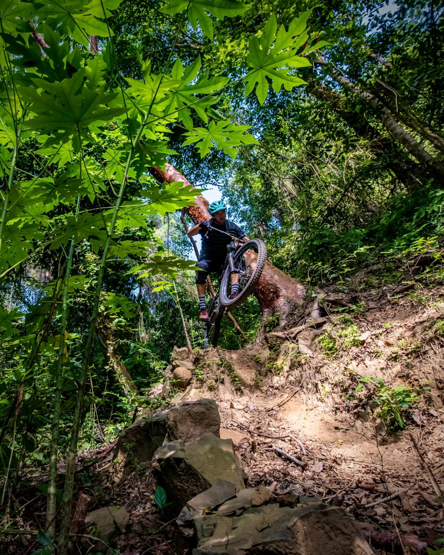 Mountain Bike Adventure: Sayulita to San Pancho · ☆4.96