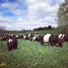 Farm Tour at Stony Creek