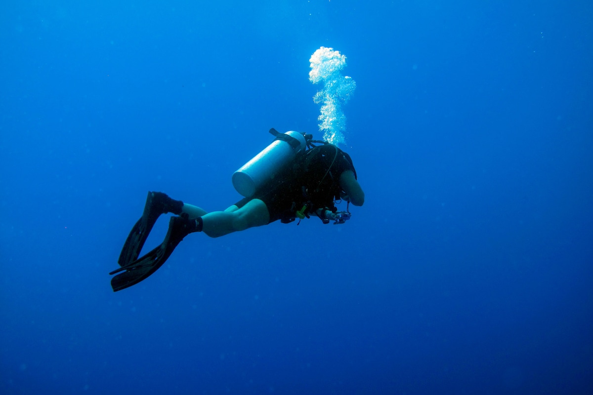 Beginner Coral Reef Scuba Diving with Videos