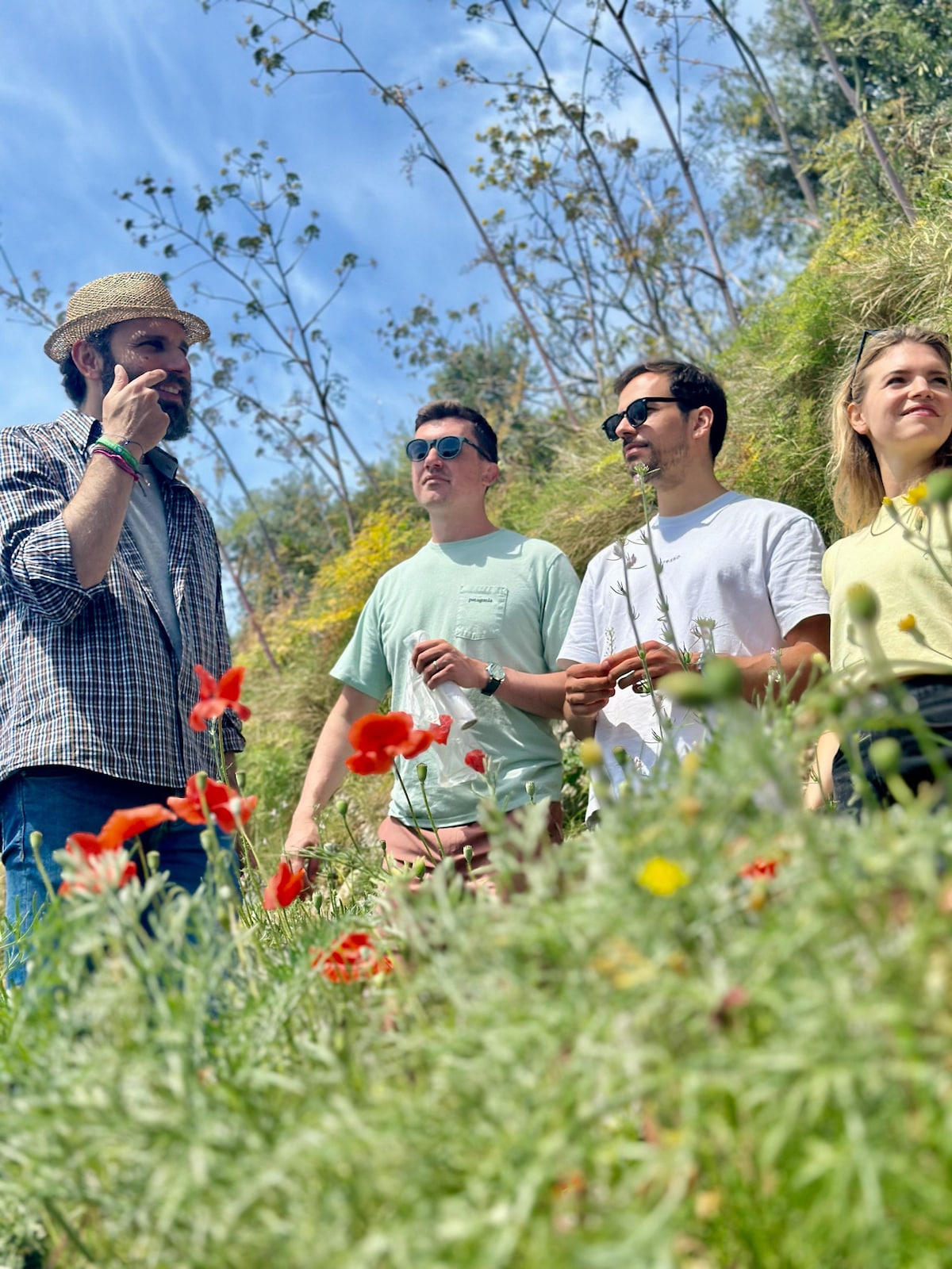 Cooking class on the Amalfi Coast with local herbs