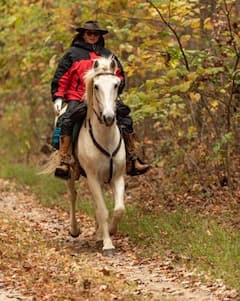 Kamp Kessa: Zen and the Art of Horse Riding
