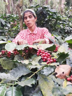 Taste coffee from farm to cup