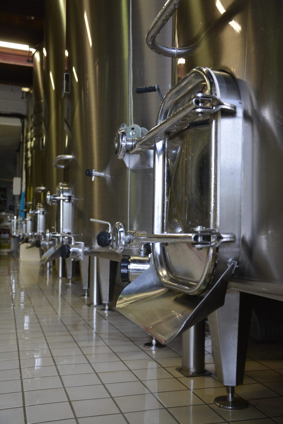 Discover the vineyard with a passionate winemaker