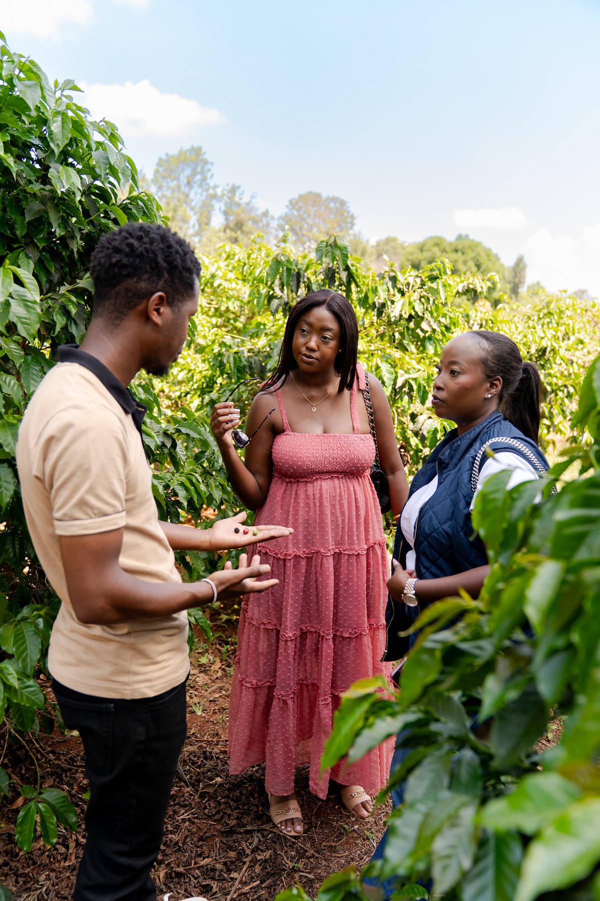 Roast coffee and tour a Kenyan owned Coffee farm