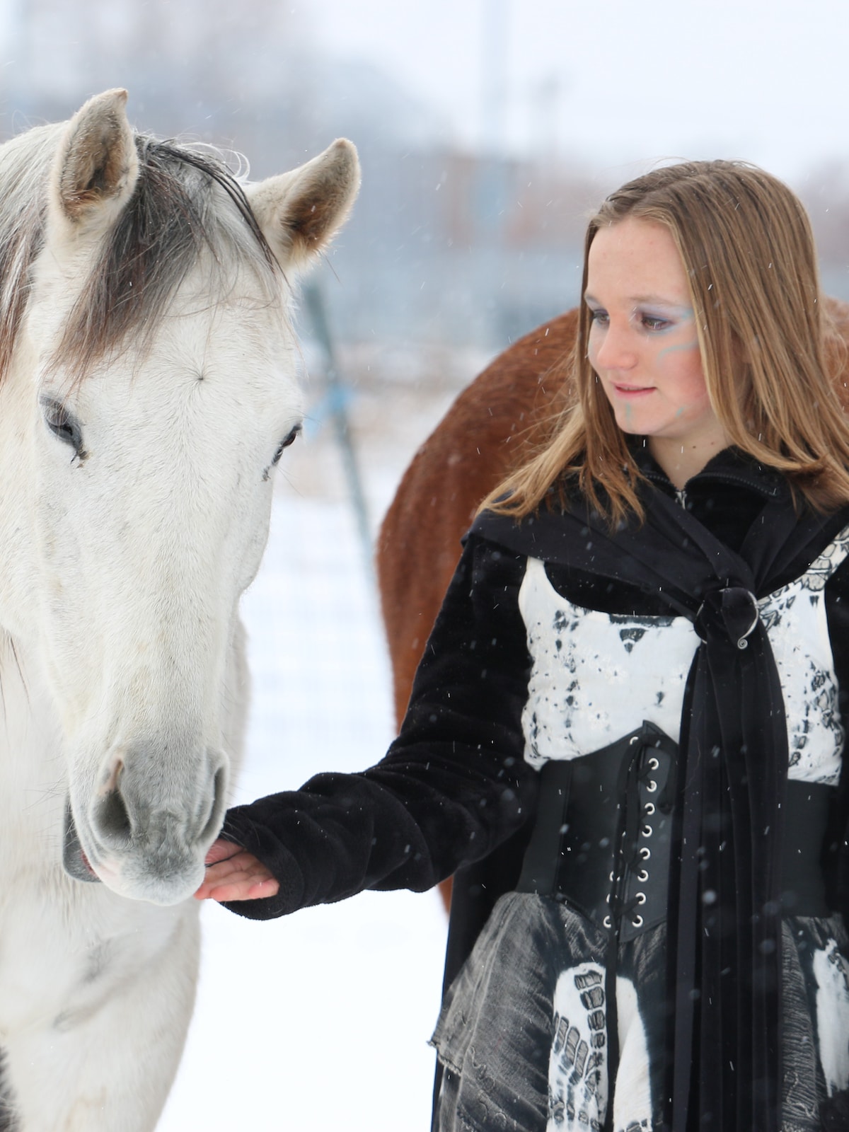 Explore Urban Animal Farmstead