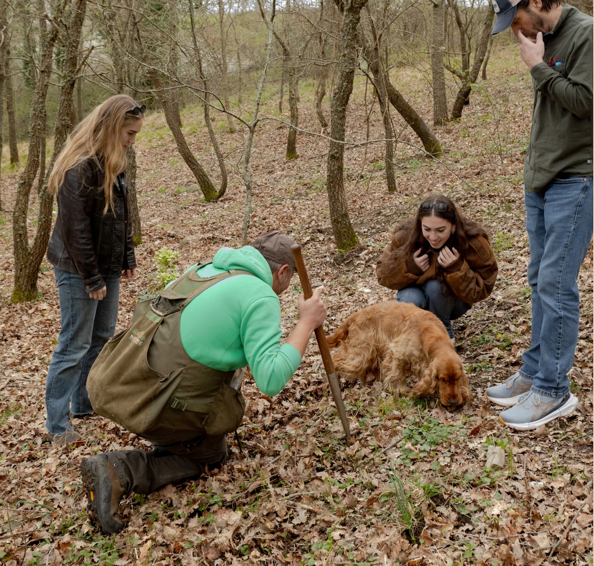 Discovering truffles in the Tuscany countryside