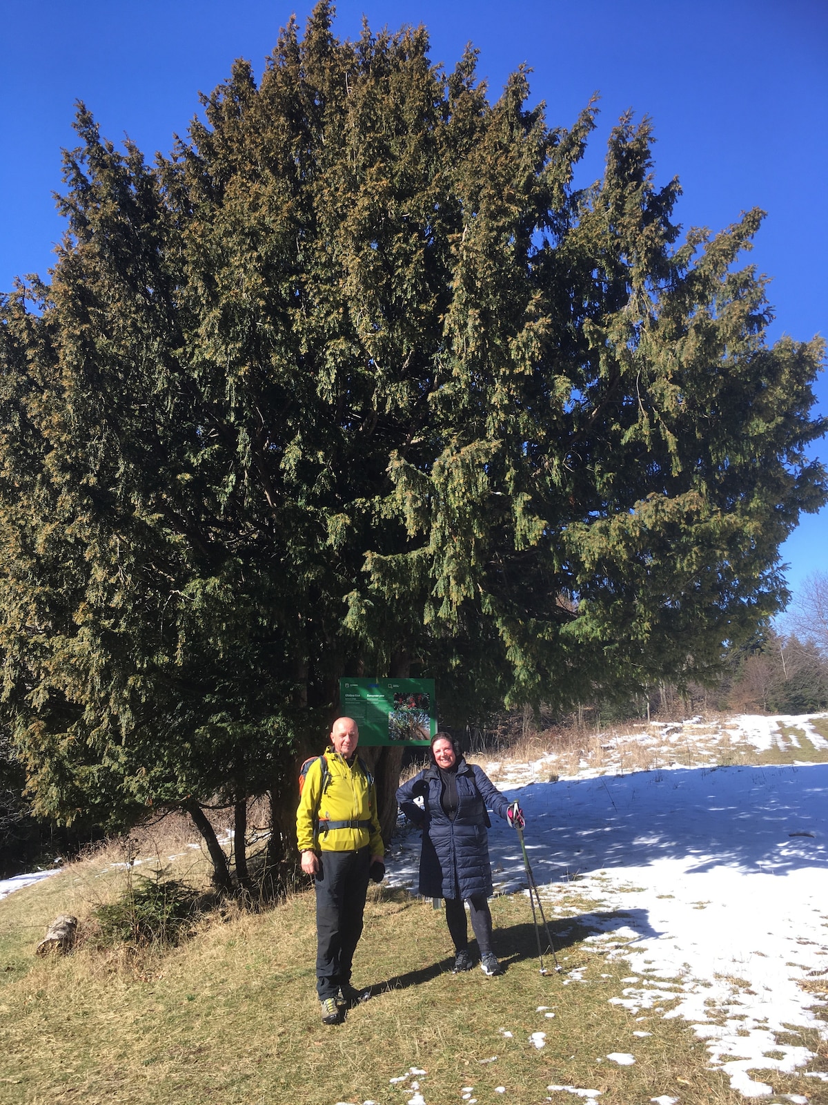 Unforgettable hiking on medvednica
