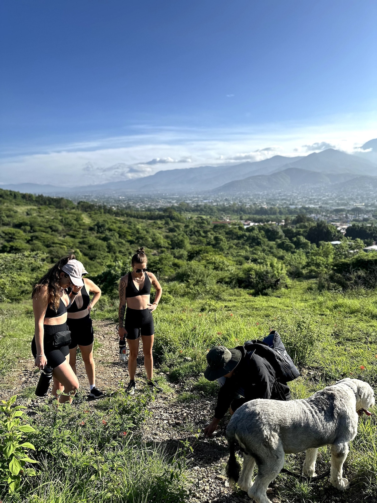 Hike to Monte Alban at sunrise