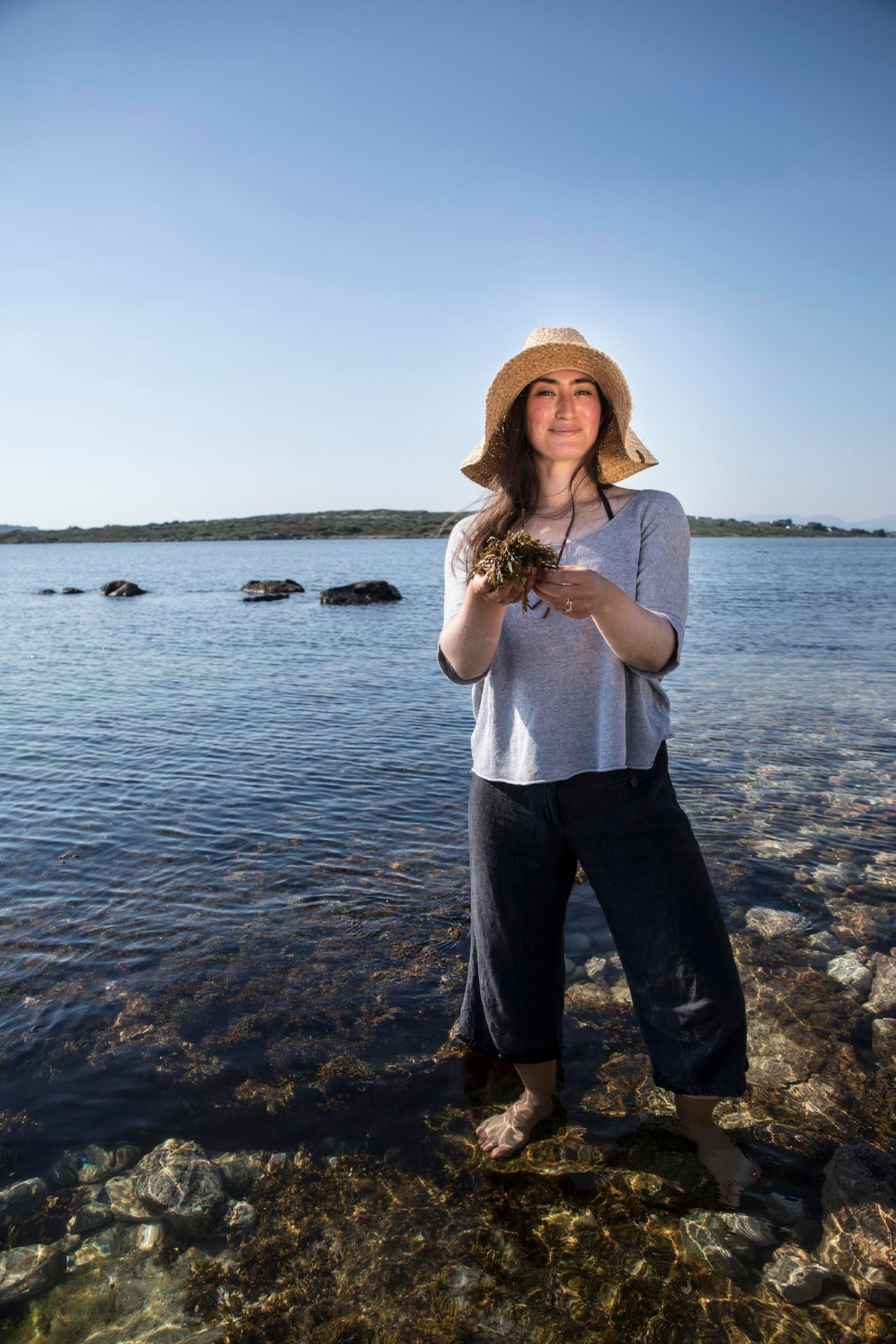 Forage seaweed and taste abalone on an aqua farm