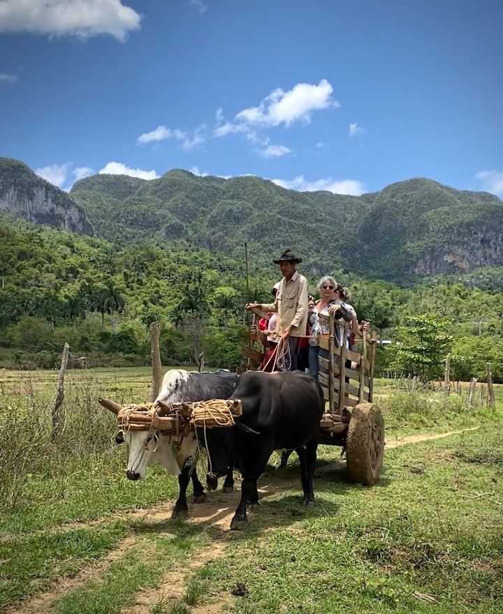 Explore the Authentic non touristy Viñales Valley · ☆4.98