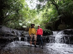 西表岛红树林皮划艇之旅，徒步前往秘密瀑布
