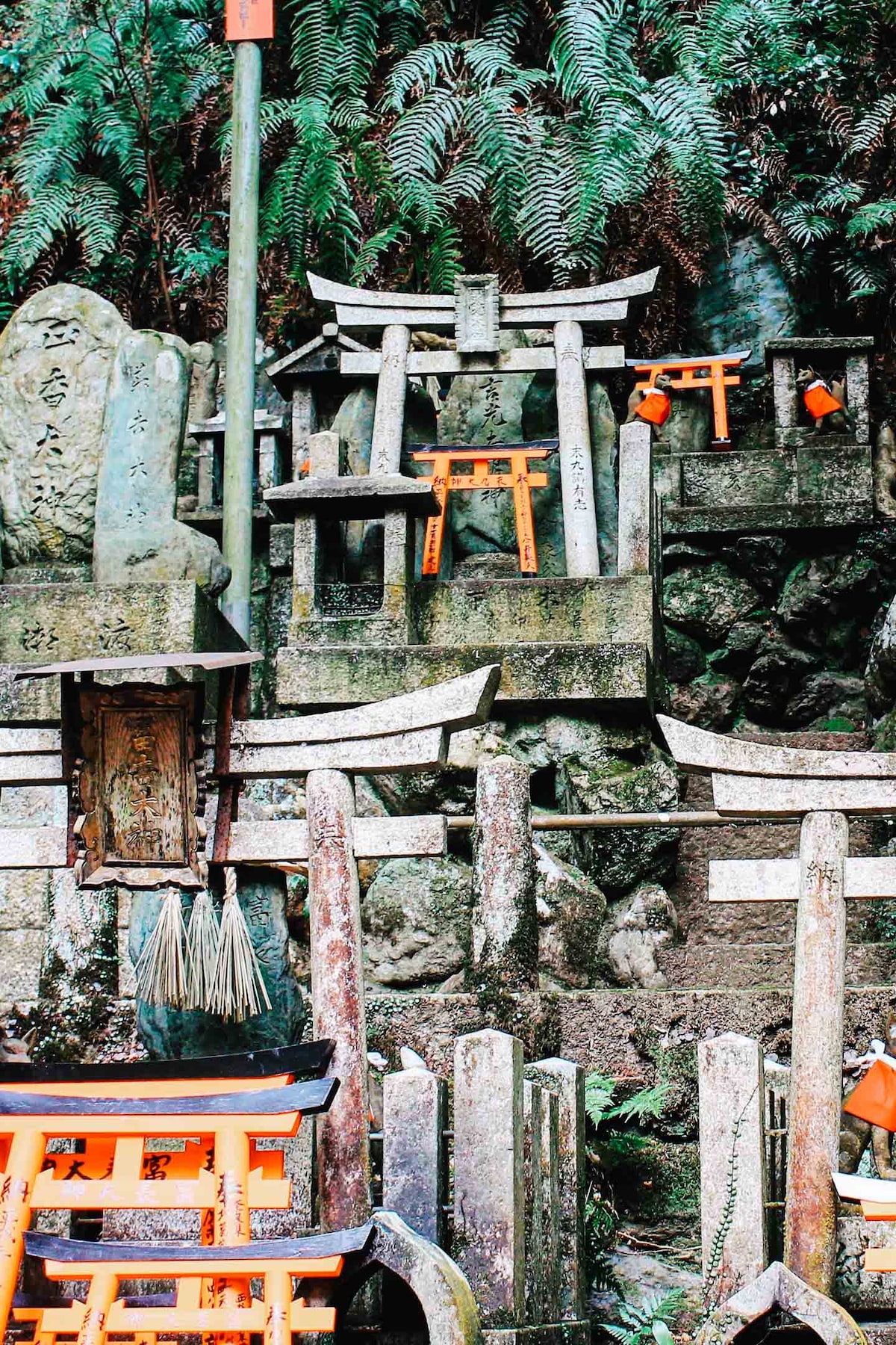 Hike to Fushimi Inari along hidden scenic trails