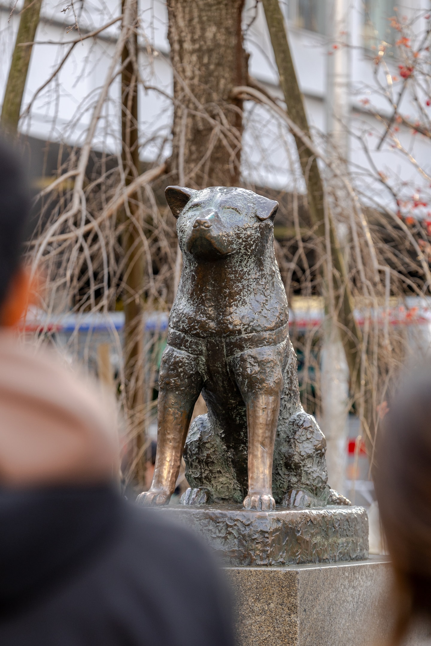 Discover Shibuya's hotspots and hidden alleys · ☆4.89