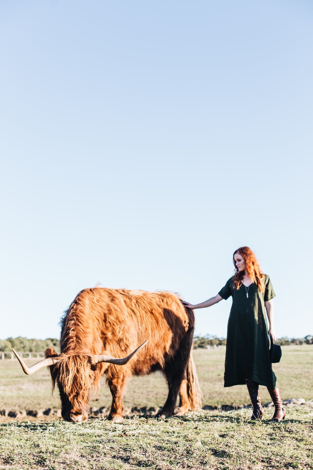 Meet Redleaf farm animals