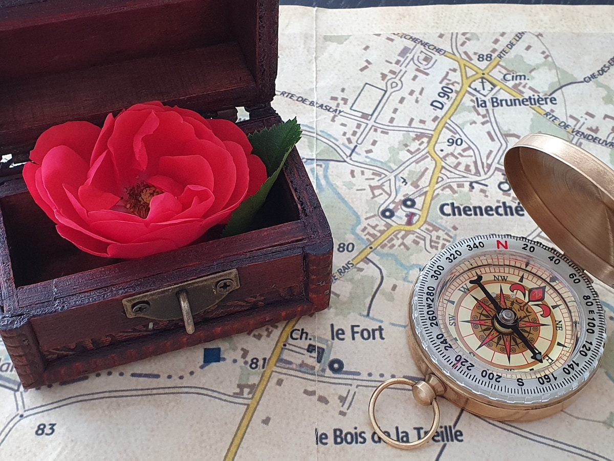 Discover Chéneché by solving puzzles