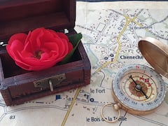 גלה את Chéneché על ידי פתרון חידות