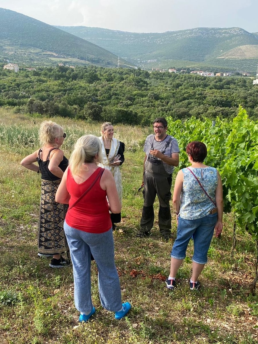 Dalmatian Experience: Wine-Olive Oil-Food-Music