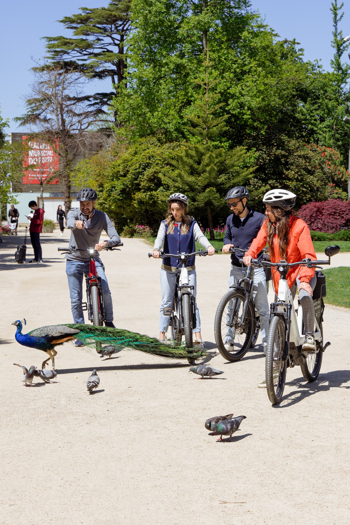 Explore Porto Highlights on an electric bicycle
