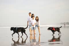 巴厘岛摄影师和游览