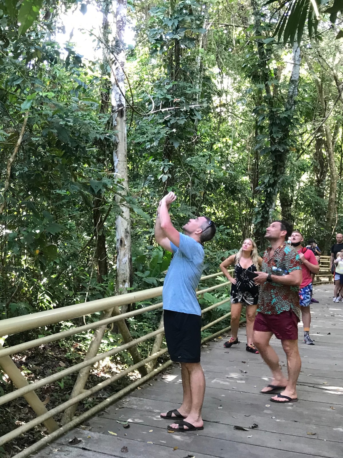 Spot wildlife at Manuel Antonio National Park