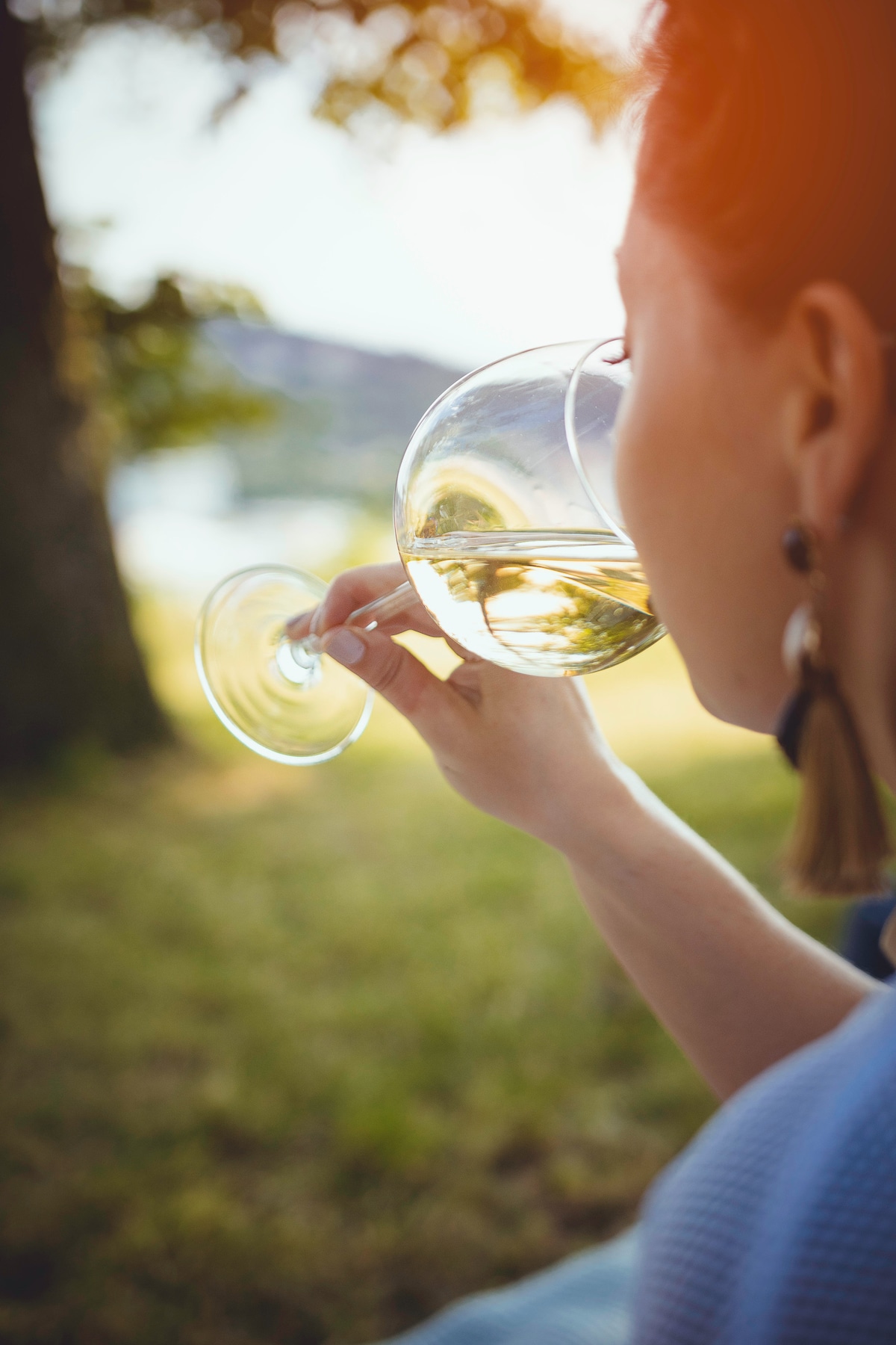Weinverkostungstour in den Cape Winelands